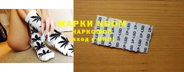 сатива Бронницы