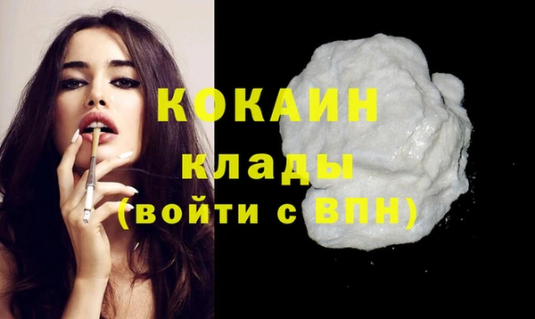 тгк Бородино