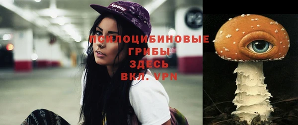 твердый Верхний Тагил