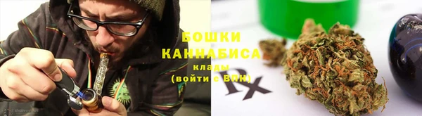 сатива Бронницы