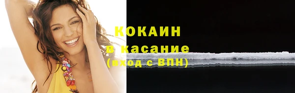 твердый Верхний Тагил