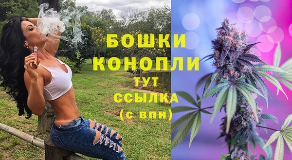 mix Богородицк