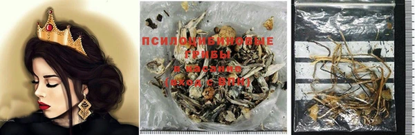 COCAINE Верея