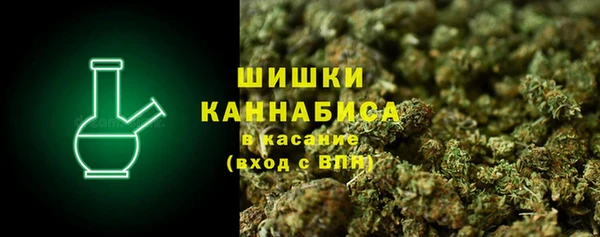 тгк Бородино