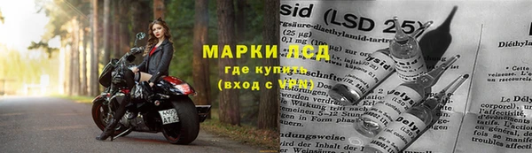 сатива Бронницы