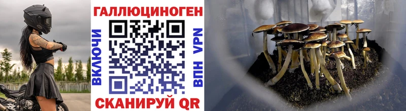 Галлюциногенные грибы прущие грибы  Вилюйск 